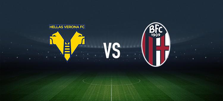 家队还是在 家队还是在